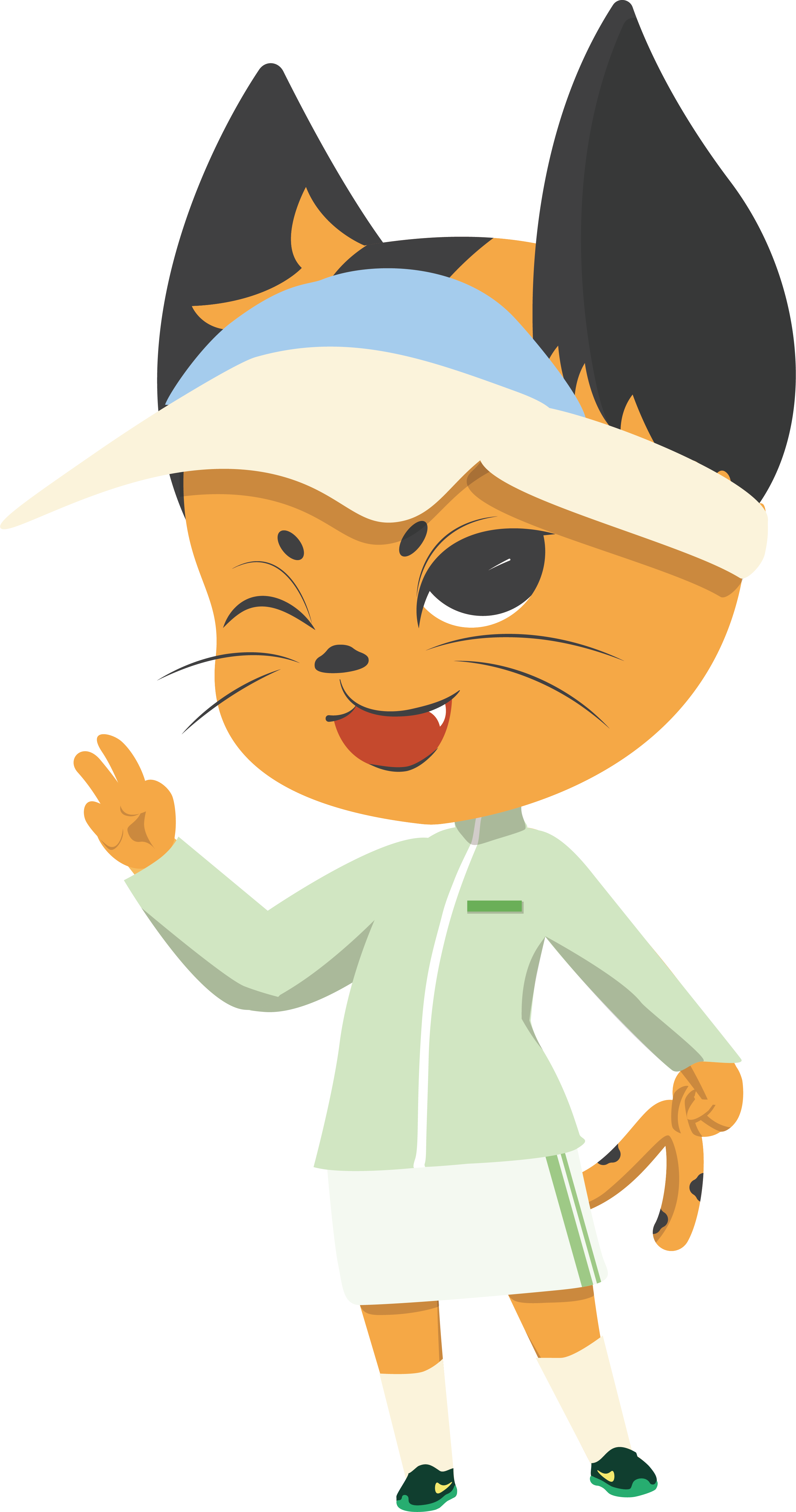 豹猫